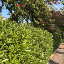 фото из отзыва ID 2701720