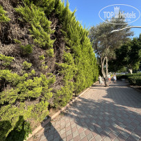 фото из отзыва ID 2701720