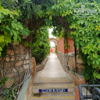 фото из отзыва ID 2701774