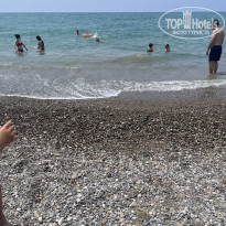 фото из отзыва ID 2701816