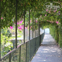 фото из отзыва ID 2701854