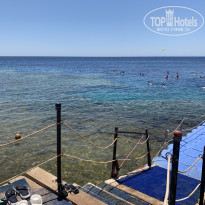 фото из отзыва ID 2701855