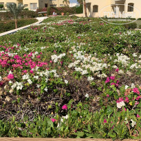 фото из отзыва ID 2701855