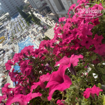 фото из отзыва ID 2701857