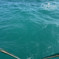 фото из отзыва ID 2701897