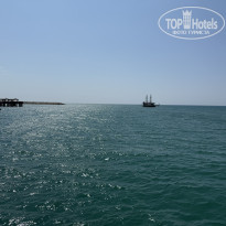 фото из отзыва ID 2701897