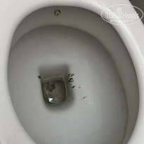 фото из отзыва ID 2701909