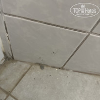 фото из отзыва ID 2701909