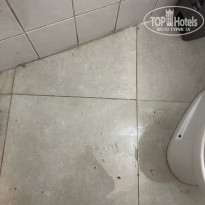 фото из отзыва ID 2701909