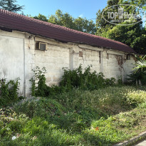 фото из отзыва ID 2701887