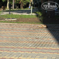 фото из отзыва ID 2701887