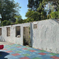 фото из отзыва ID 2701887