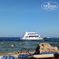 фото из отзыва ID 2701931