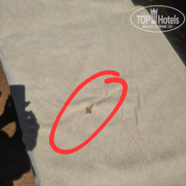 фото из отзыва ID 2701942