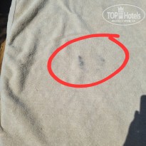 фото из отзыва ID 2701942