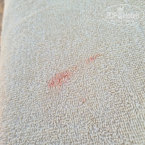 фото из отзыва ID 2701942