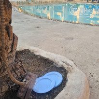 фото из отзыва ID 2701942