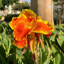 фото из отзыва ID 2701945