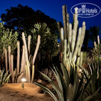 фото из отзыва ID 2701945