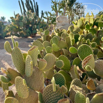 фото из отзыва ID 2701945