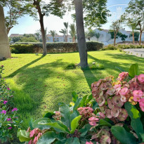 фото из отзыва ID 2701945