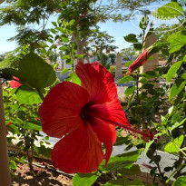 фото из отзыва ID 2701945