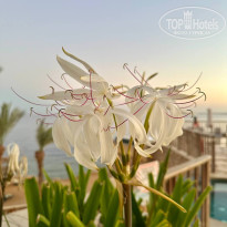 фото из отзыва ID 2701945