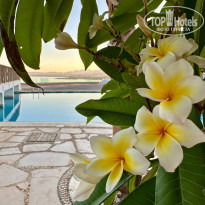 фото из отзыва ID 2701945