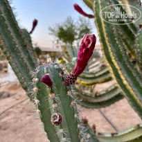 фото из отзыва ID 2701945