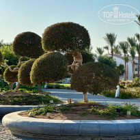 фото из отзыва ID 2701945