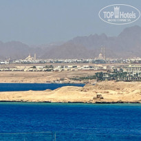 фото из отзыва ID 2701945