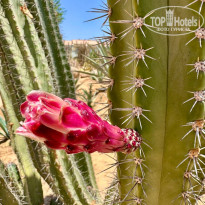 фото из отзыва ID 2701945