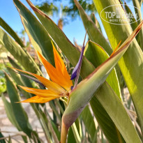 фото из отзыва ID 2701945