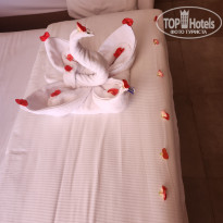 фото из отзыва ID 2701986