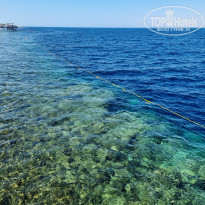 фото из отзыва ID 2702051