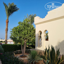 фото из отзыва ID 2702051