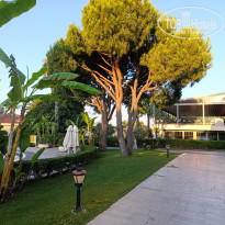 фото из отзыва ID 2702203