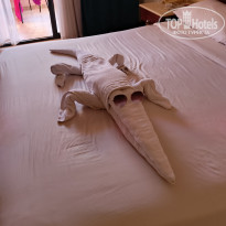 фото из отзыва ID 2702206