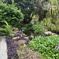 фото из отзыва ID 2702234