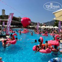 фото из отзыва ID 2702243