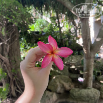 фото из отзыва ID 2702246