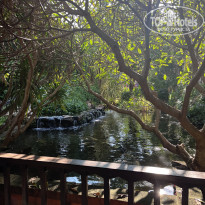 фото из отзыва ID 2702246