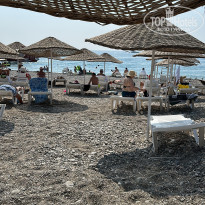 фото из отзыва ID 2702248