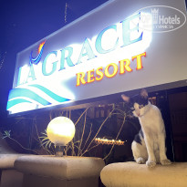 фото из отзыва ID 2702264