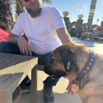 фото из отзыва ID 2702285