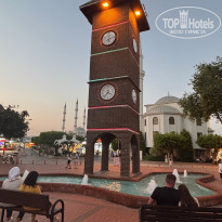 фото из отзыва ID 2702376