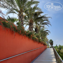 фото из отзыва ID 2702381