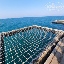 фото из отзыва ID 2702381