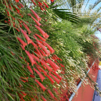 фото из отзыва ID 2702381