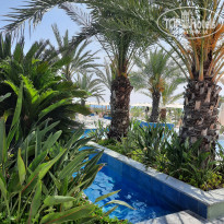 фото из отзыва ID 2702381